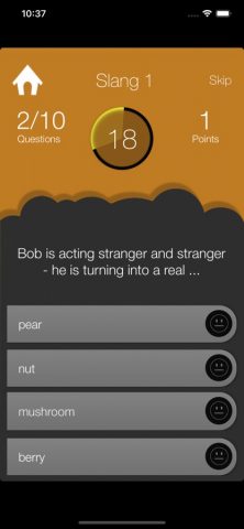 English Quiz: Test Your Level для iOS — скриншот 3