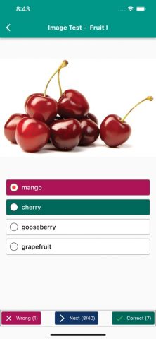 English Vocabulary in Use для iOS — скриншот 5