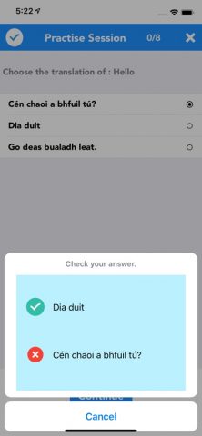 English to Irish Translator для iOS — скриншот 5
