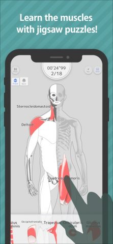 Enjoy Learning Muscles Puzzle для iOS — скриншот 1