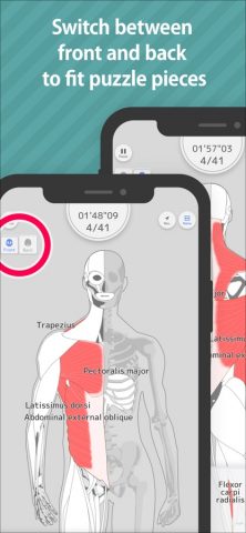 Enjoy Learning Muscles Puzzle для iOS — скриншот 3