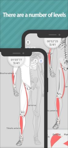 Enjoy Learning Muscles Puzzle для iOS — скриншот 4