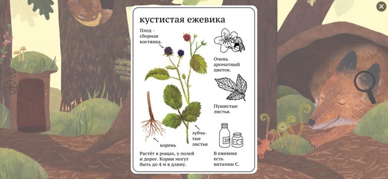Энциклопедия Мышки для iOS — скриншот 2