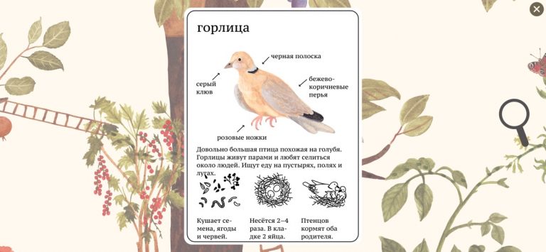 Энциклопедия Мышки для iOS — скриншот 4