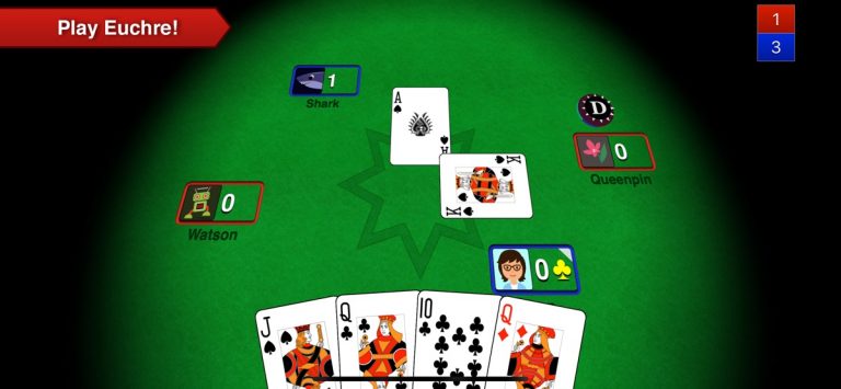 Euchre 3D для iOS — скриншот 1