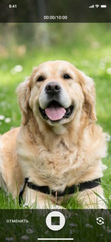 ФСИНЭТ для iOS — скриншот 3