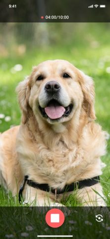 ФСИНЭТ для iOS — скриншот 4