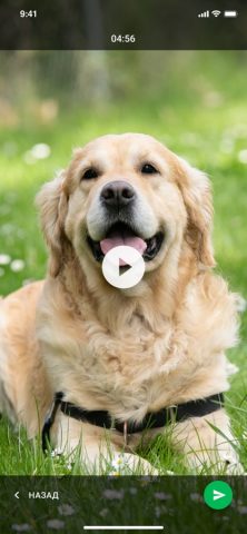 ФСИНЭТ для iOS — скриншот 5