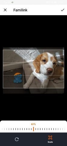 Familink для Android — скриншот 3