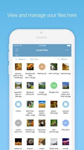 File Manager Plus для iOS — скриншот 1