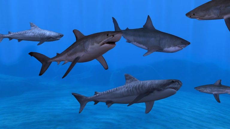 Fish Farm 3 — Aquarium для Android — скриншот 3