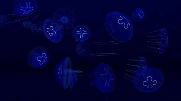 Fish Farm 3 — Aquarium для Android — скриншот 4