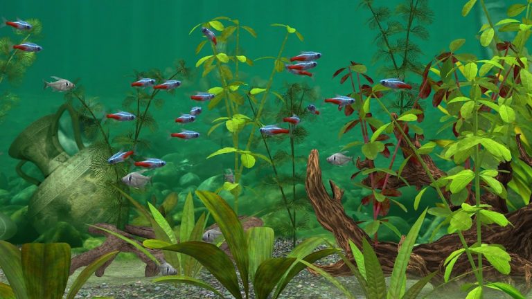 Fish Farm 3 — Aquarium для Android — скриншот 5