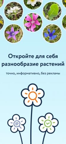 Flora Incognita для iOS — скриншот 1