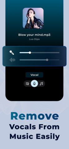 Vocal Remover AI Splitting для iOS — скриншот 2