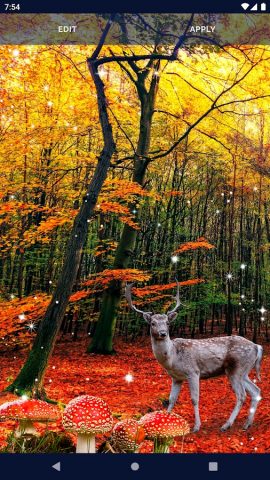 Forest Live Wallpaper для Android — скриншот 1