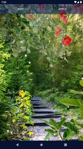 Forest Live Wallpaper для Android — скриншот 3