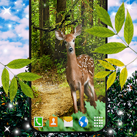 Forest Live Wallpaper для Android