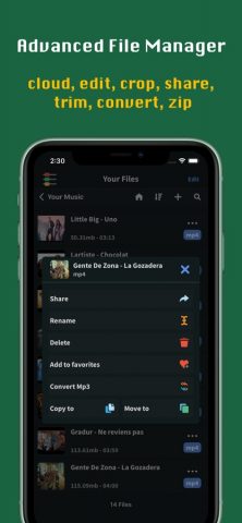 FoxFM — Offline Video Player для iOS — скриншот 3