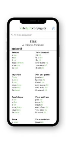 French Conjugation. для iOS — скриншот 2