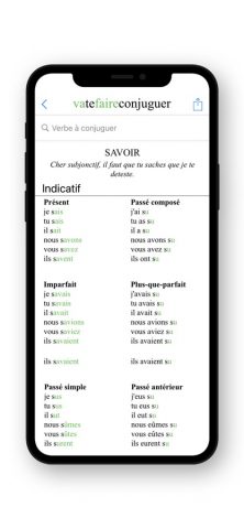 French Conjugation. для iOS — скриншот 3