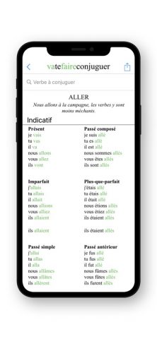French Conjugation. для iOS — скриншот 4