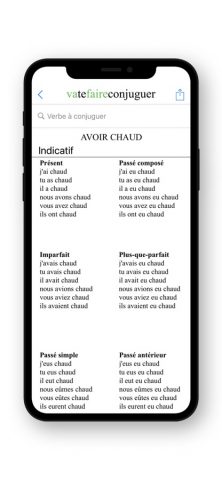 French Conjugation. для iOS — скриншот 5