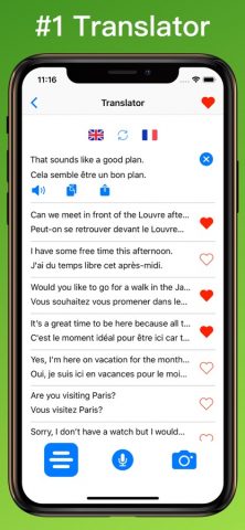 French Translator Dictionary + для iOS — скриншот 1