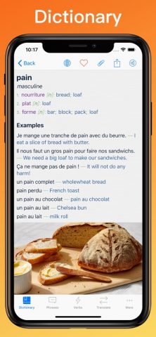 French Translator Dictionary + для iOS — скриншот 3