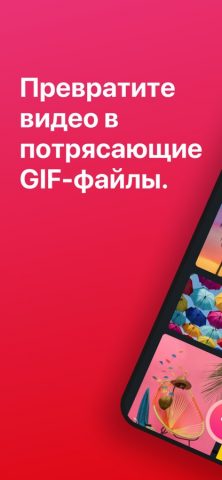 GIF Maker — из видео в GIF для iOS — скриншот 1
