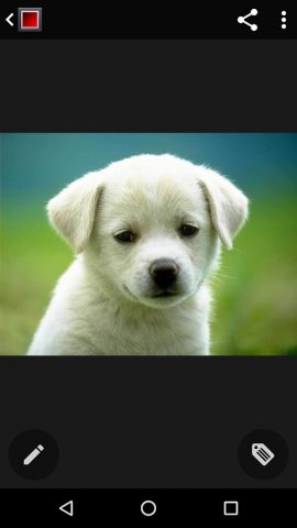 Галерея KK — Gallery KK для Android — скриншот 2