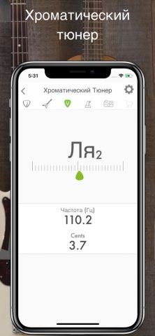 Гитара, Бас и Укулеле Тюнер для iOS — скриншот 4