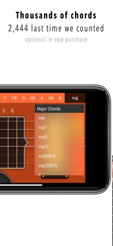 Гитарные Аккорды для iOS — скриншот 4
