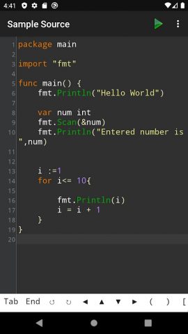 Go Programming Compiler для Android — скриншот 1