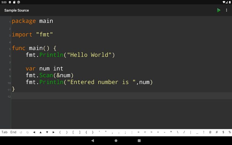 Go Programming Compiler для Android — скриншот 5
