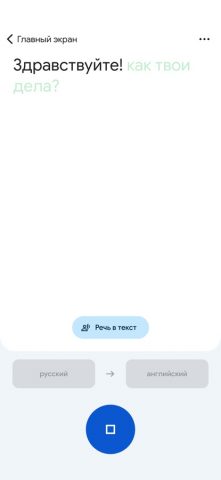 Google Переводчик для iOS — скриншот 2