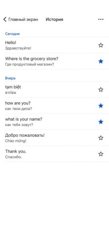 Google Переводчик для iOS — скриншот 5