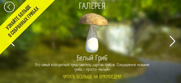 Грибной Охотник для iOS — скриншот 5