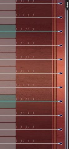 Guzheng Master для iOS — скриншот 4