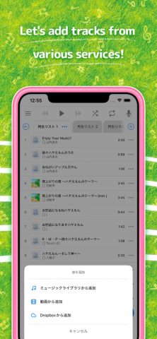 Hayaemon — Music Player для iOS — скриншот 2
