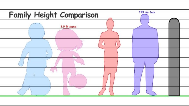 Height Measurement App для Android — скриншот 5