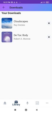Hemi-Sync® Flow для Android — скриншот 5