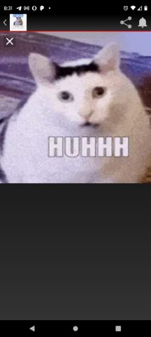 Huh cat Sticker для Android — скриншот 2