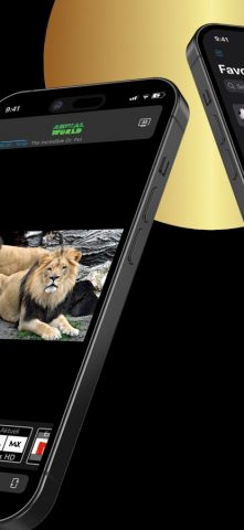 IPTV Streamer Pro для iOS — скриншот 2