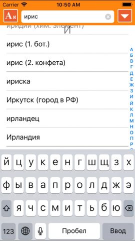 ИРИС Иврит-Русский Словарь для iOS — скриншот 1