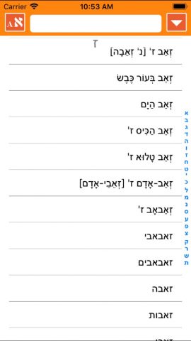 ИРИС Иврит-Русский Словарь для iOS — скриншот 2