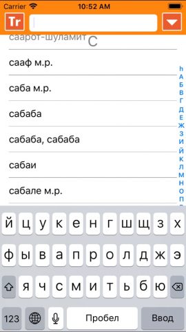 ИРИС Иврит-Русский Словарь для iOS — скриншот 4