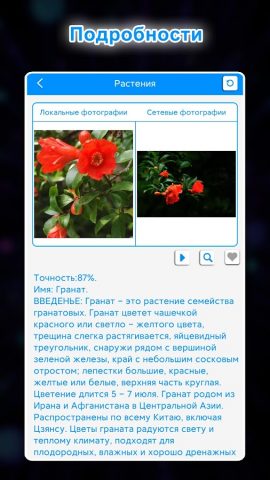 Распознать по фото — Узнай всё для Android — скриншот 2