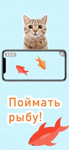 Игры для кошек! для iOS — скриншот 1