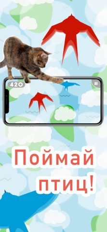 Игры для кошек! для iOS — скриншот 3